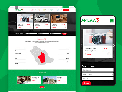 Website design for Amlaak