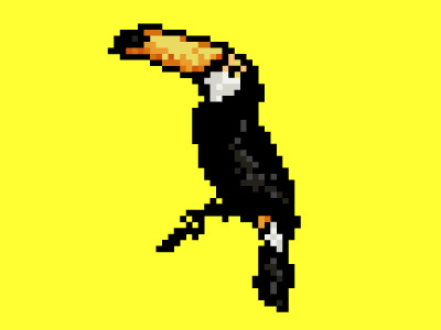 Pixel exotic bird