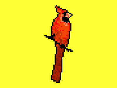 Exotic pixel art bird angry animal bird cardinal cartoon character concept exotic flat illustration simple tropic tropical