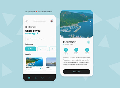 Travel Application app graphic design like mobile travel trip ui