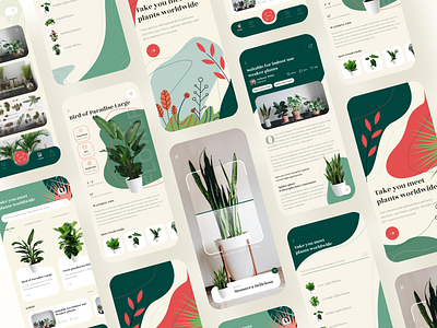 Identify Plants App app branding illustration ui 设计