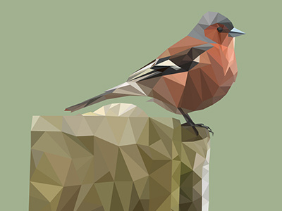 Low Poly Art abstract illustrator low poly