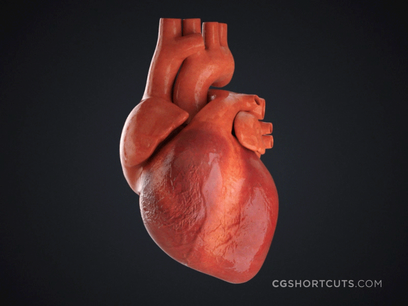 3d Beating Heart GIF