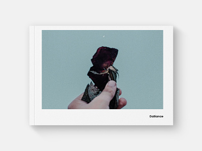 Dalliance - a photobook book cover dribbble flat minimal modern photography print print design typography ui