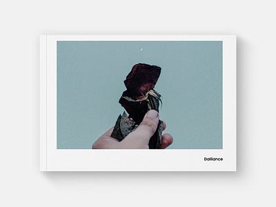 Dalliance - a photobook book cover dribbble flat minimal modern photography print print design typography ui