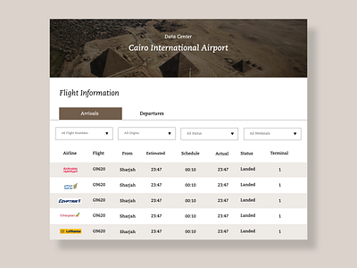 Daily UI Challenge- Visualizing Airport Data branding dailyui dailyuichallenge design digital marketing graphic design typography ui ux