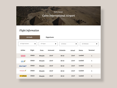 Daily UI  Challenge- Visualizing Airport Data