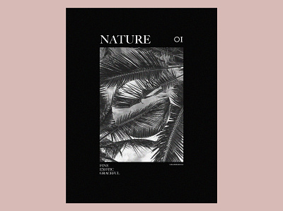 NATURE 01 design layout magazine magazine cover typography visual design