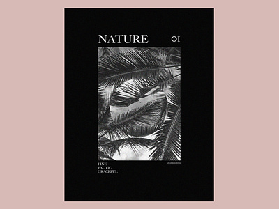 NATURE 01