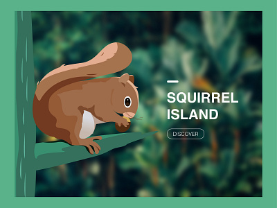 Welcome to squirrel island design illustration ui web