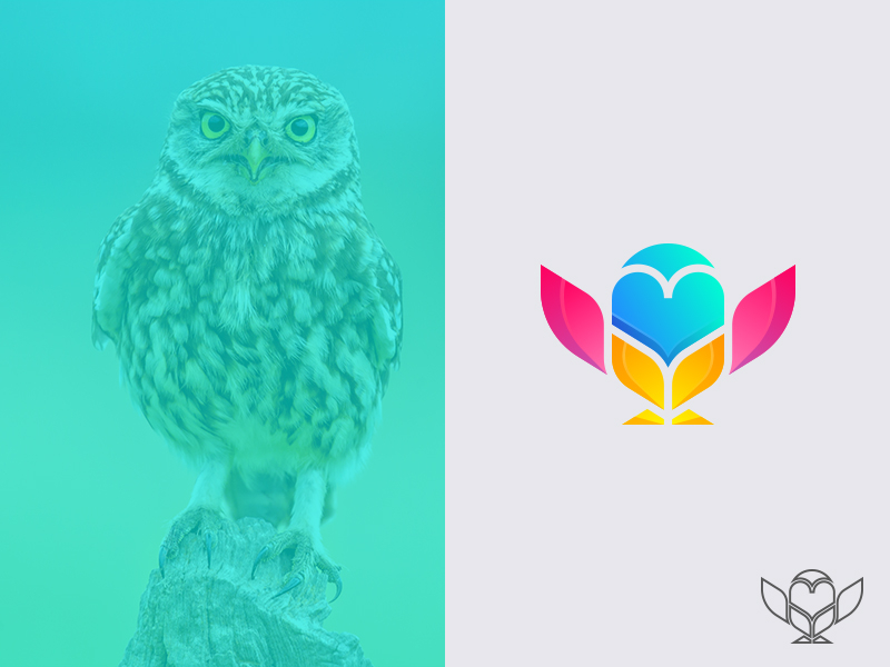 Owl Logo Design By GranzCreative On Dribbble