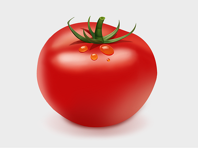 Realistic hand painted 1-tomato