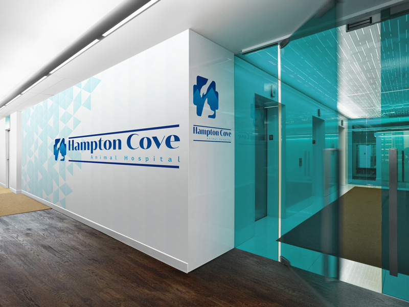 Hampton Cove Animal Hospital by Federico Salomone on Dribbble