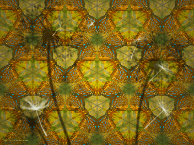 Kaleidoscope of Life art butterflies dandelion dream infinity kaleidoscope matter nature pattern psychedelic sacred geometry surreal