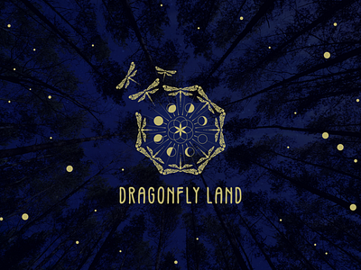 Dragonfly Land design dragonflies dragonfly dream dreamy firebugs logo logodesign magic moon phases pagan surreal trippy wicca
