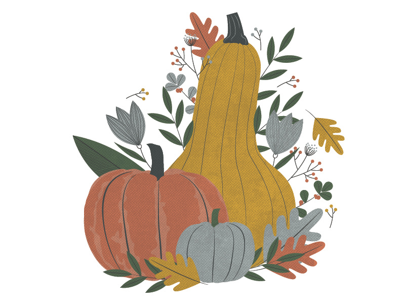 Fall Illustration leaves vegetables produce food illustration leaf foliage squash pumpkins gourds autumn fall