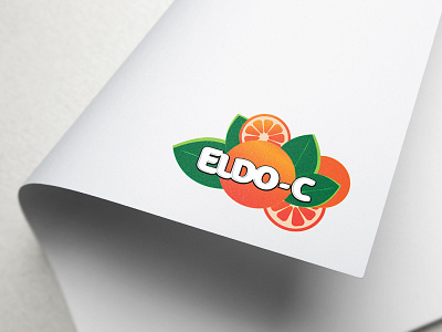 Juice Company Logo Design brand identity design branding design illustration logo typography