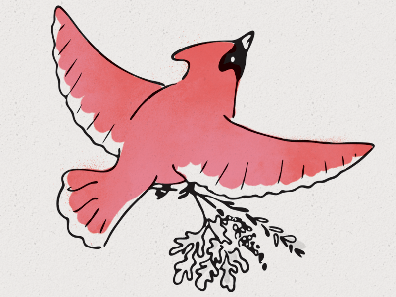 Cardinal herbs illustration bird