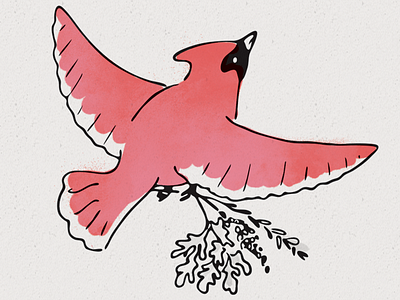 Cardinal bird herbs illustration