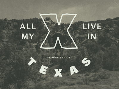 All My Exes Live In Texas country texas type typography