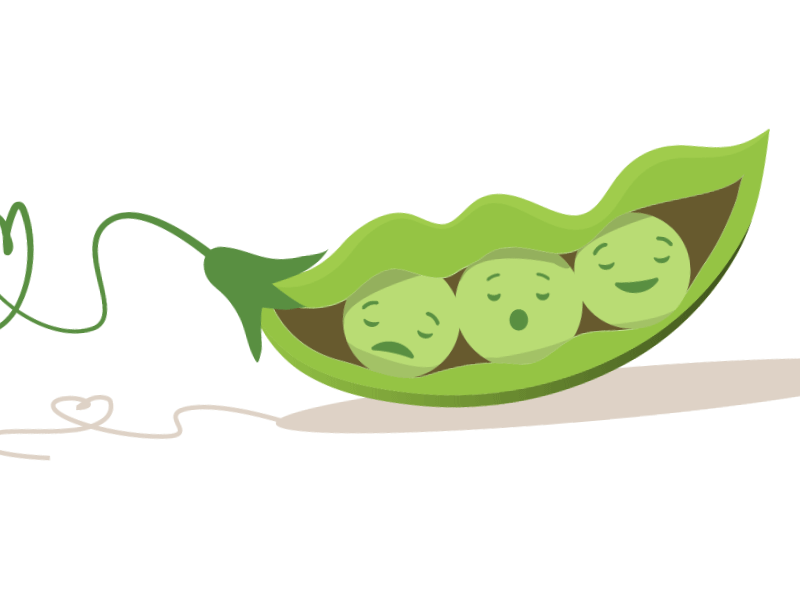 Browse thousands of Peapod images for design inspiration Dribbble