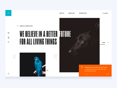 humane animals bird brandnew care clean design dog donation hero landing page minimal simple white