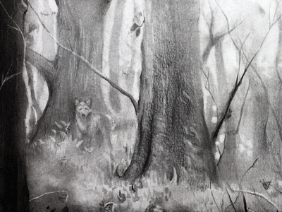 Shola Forest art charcoal forest graphite illustration