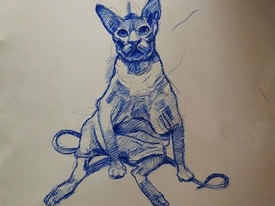 Cat 2d drawing illustration traditional art