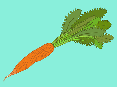 Carrot - from 100 Days of Food Sketches 100 days of food sketches carrot food illustration