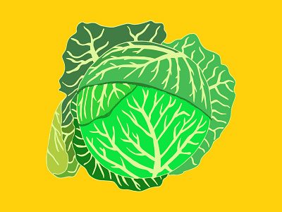 Cabbage - from 100 Days of Food Sketches 100 days of food sketches cabbage food illustration vegetable
