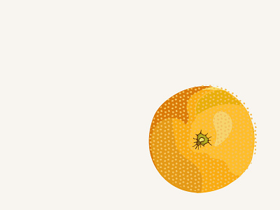 Orange - from 100 Days of Food Sketches 100 days of food sketches food fruit illustration orange