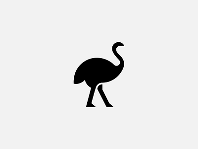 Ostrich animal graphicado icon ilustration logo logo design logo for sale logo template ostrich safari