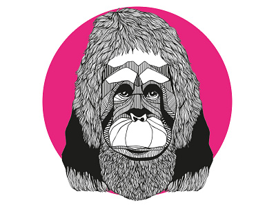 Orangutan animal illustration orangutan