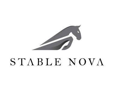 Stable Nova Logo winner