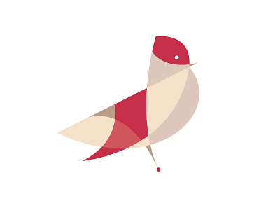 Contours: Cardinal animals bird cardinal design illustration minimal modern simple vector