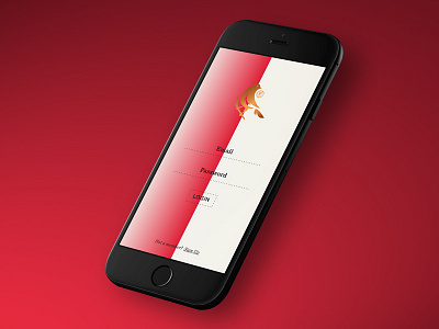 Finch Rebrand — iOS app bird branding financial illustration logo pattern ui ux