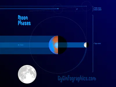 Moon Phases astronomy cosmos dizziness earth education infographic light lunar moon motion graphics orbit phases science scientific popularization spinning top star sun universe vector graphics vertigo