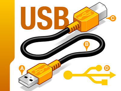 USB, portrait of an infographic. adobe illustrator infographic isometric sign usb vector graphics