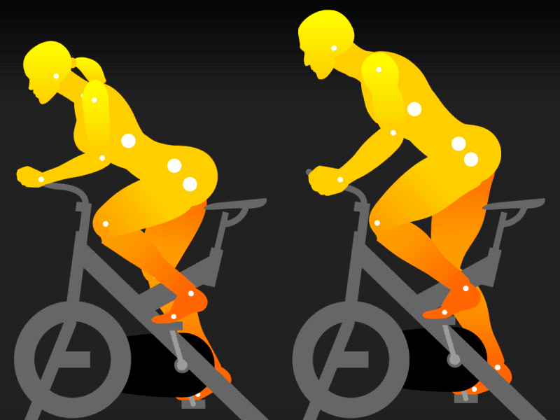 Perpetual Indoor Cycling adobe aftereffects adobe illustrator bike bycicle cycling ergonomics ergonomy gif human body indoor loop man motiongraphics sport technical drawing technical illustration vector graphics woman