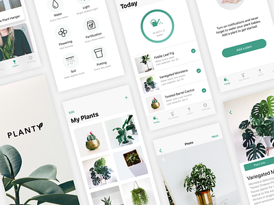 Plant Care App Design app design design ios minimal app design minimalism plant reminder ui