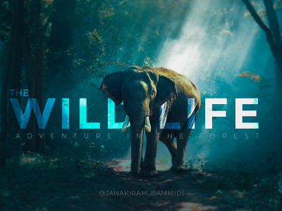 The Wild Life background branding color colorful design elephant forest layout photoediting photoshop poster typography wild wild animal wildlife wildphotography