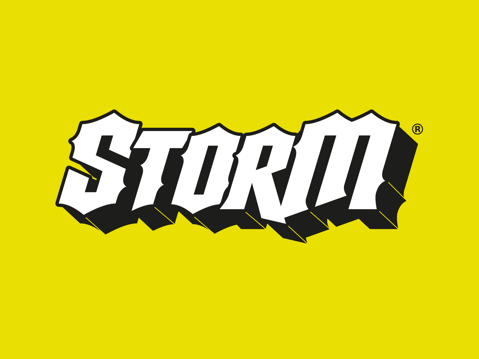 Storm Branding branding designs graphic design logodesign logotype