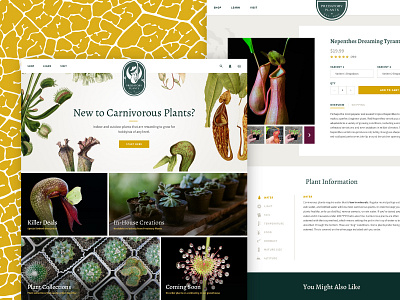 Predatory Plants branding logo nepenthes pitcher plant web design