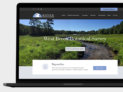 Seatuck Website Design