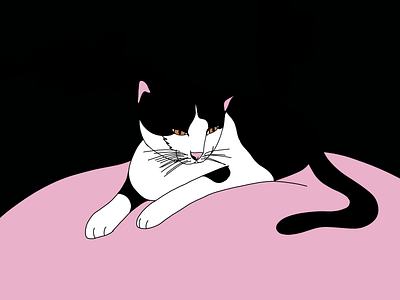 Otis cat design digital illustration drawing illustration kitten life drawing procreate