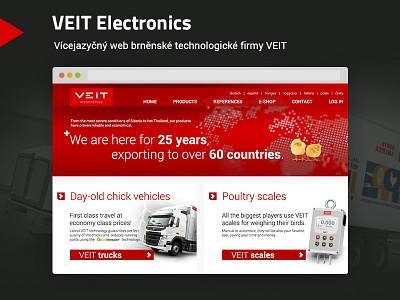 VEIT Electronics strategy webdesign