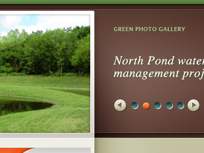 Green Gallery brown button design gallery gray green photo typography ui web