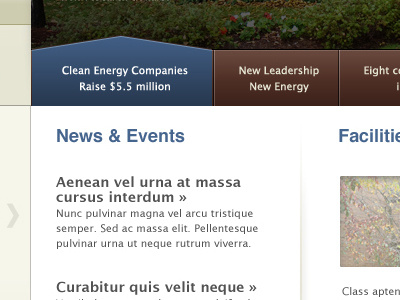 New Site Homepage blue brown design slider tabs typography web