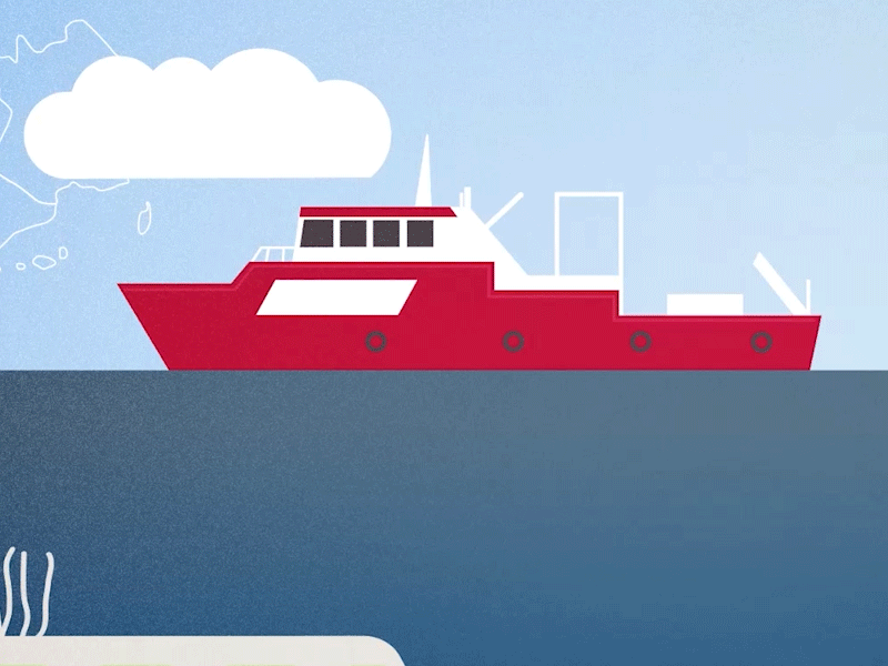 Boat animation flat gif illustration motiondesign vector