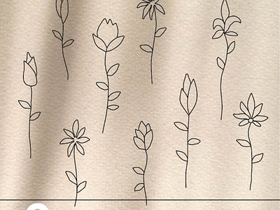 Lite Outline botanical drawing elements floral graphic hand drawn illustration line minimal outline vector